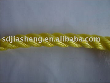 聚乙烯繩、聚丙烯繩及金屬絲繩制品 山東泰佳塑料制品廠的產品與制造概述